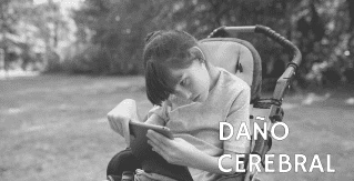 DOIT Salas Multisensoriales - Personas con discapacidad